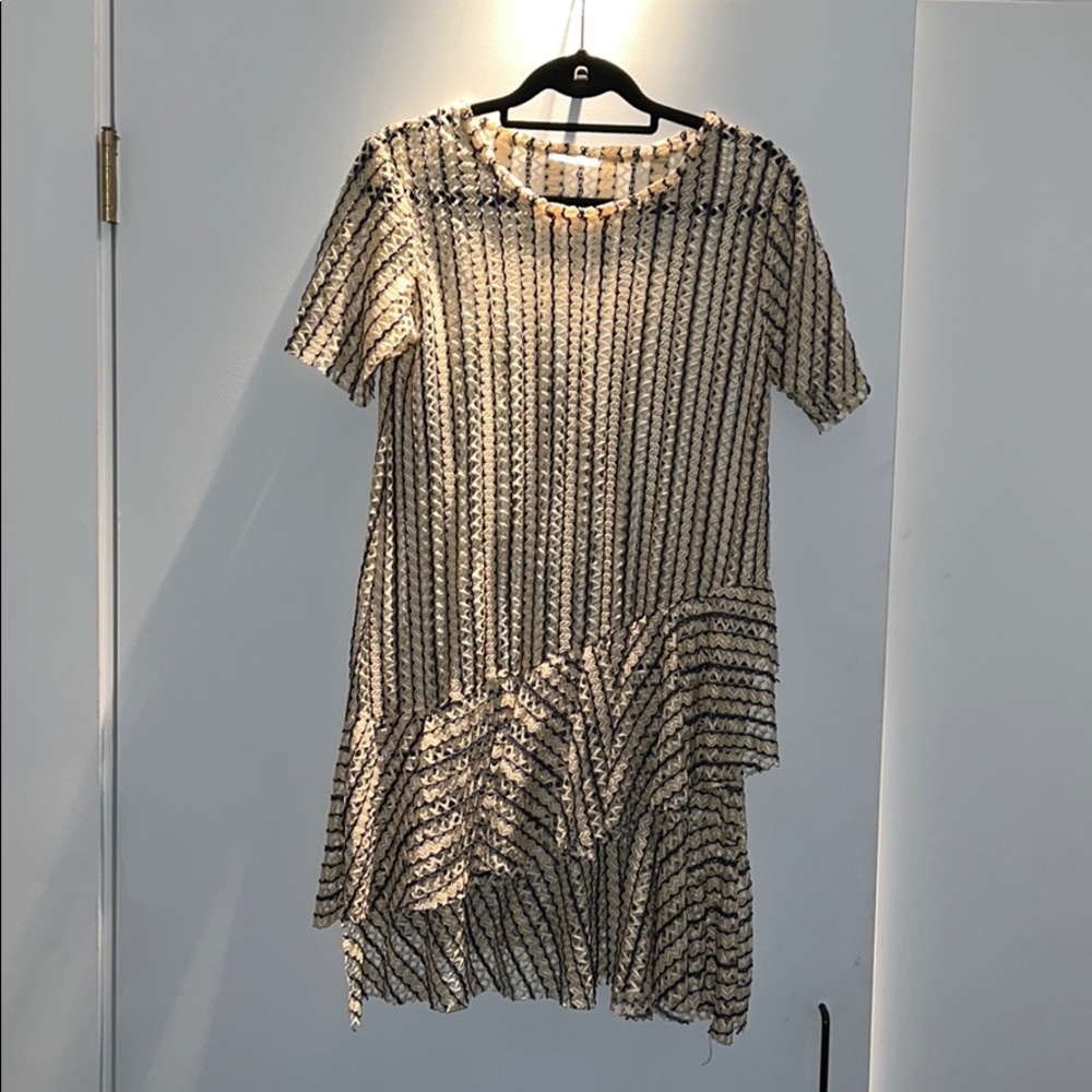 Zara sheer mesh ruffle dress S
